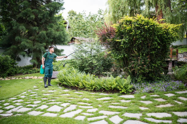 Best Pest Control Near Me  in Huber Heights, OH