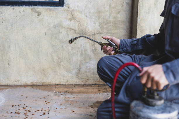 Best Rat Extermination Near Me  in Huber Heights, OH